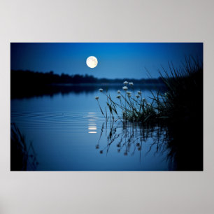 Moon Lake Tranquil Peaceful Nature Poster