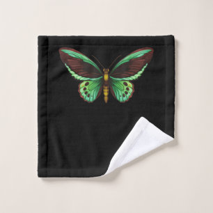 moon moth art botanical butterfly bug bee biology wash cloth