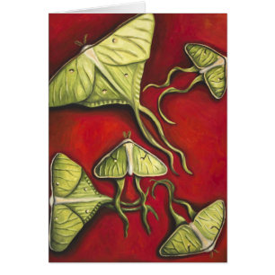 Moon Moths