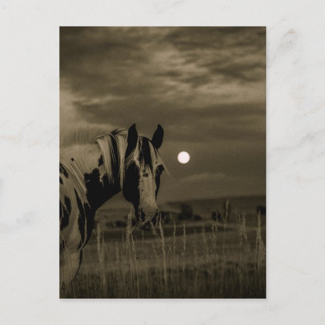 moon night custom personalise diy Anniversaries Postcard (Front)