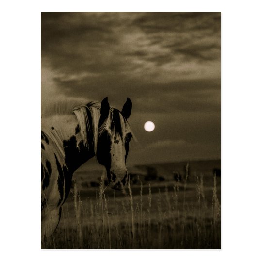 moon night custom personalise diy Anniversaries Postcard