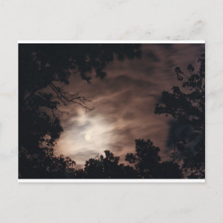 Moon over Charleston Postcard