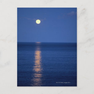 Moon Over Lake at Night Postcard