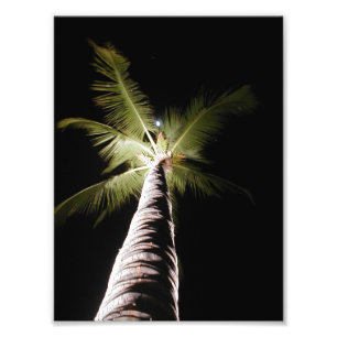 Moon Over Palm print