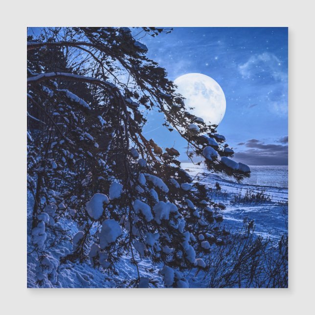 Moon over snowy fir tree and sea coast at night (Front)