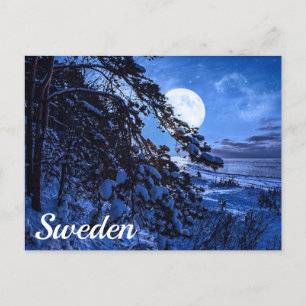 Moon over snowy fir tree and sea coast at night po postcard