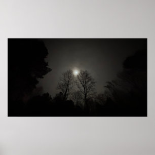 Moon over Trees, poster