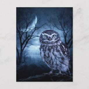 "Moon Owl" Postcard