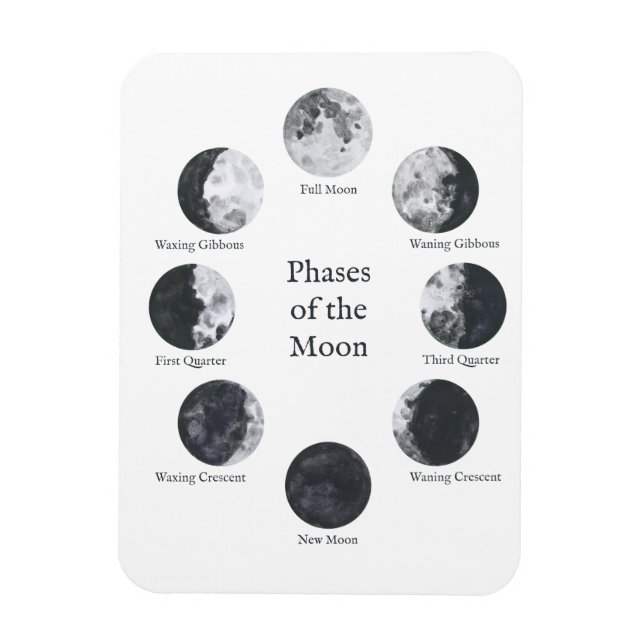 Moon Phases Lunar Cycle Magnet (Vertical)