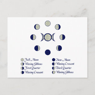 Moon Phases Postcard