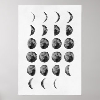 Moon Phases Wall Art