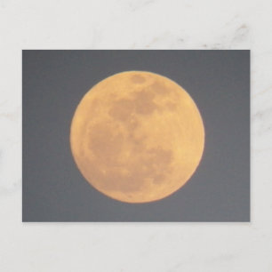 Moon Postcard