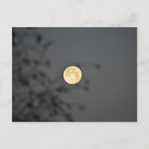 Moon Postcard