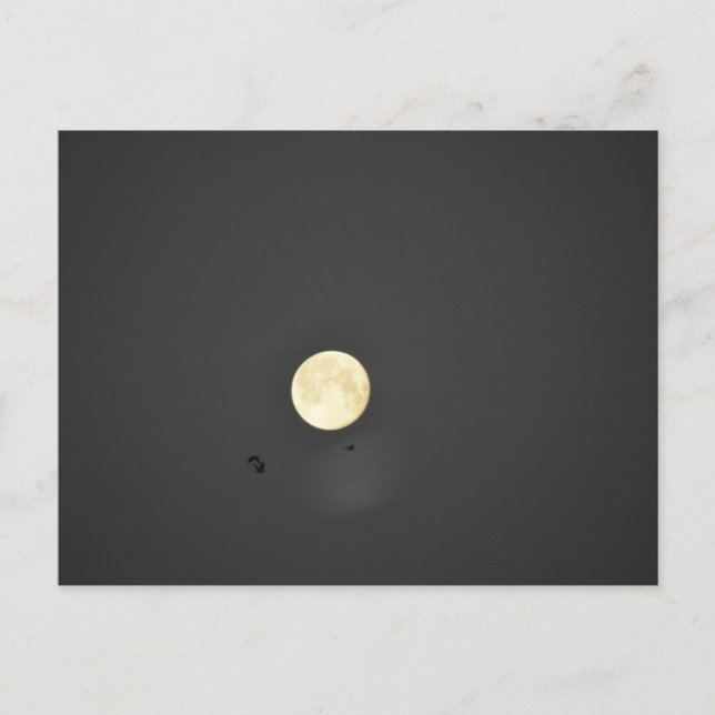 Moon Postcard (Front)