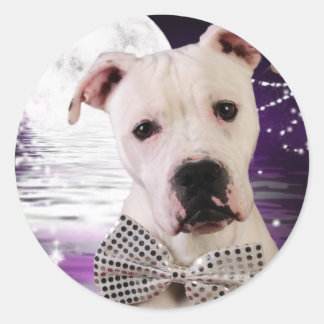 Moon puppy classic round sticker