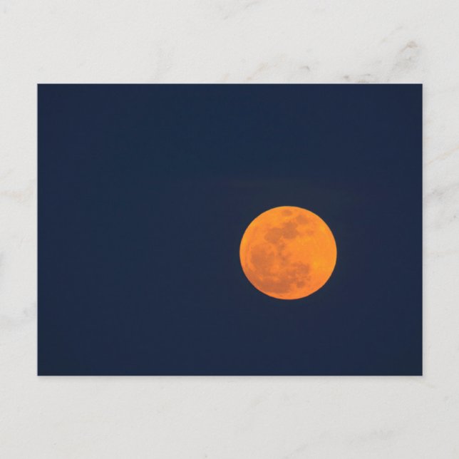 Moon Rise of the Super Moon | Savannah, Georgia Postcard (Front)