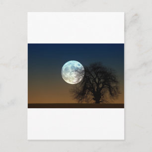 Moon Rise Postcard