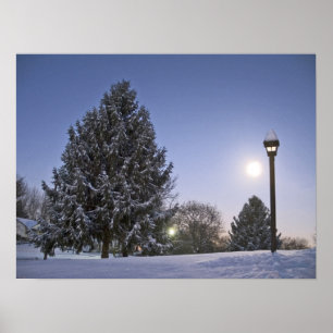 Moon Rise Poster