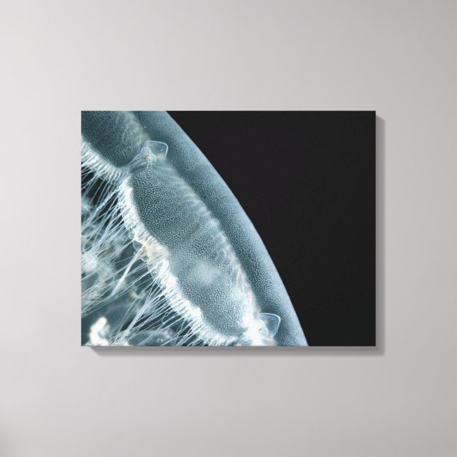 Moon Rise Wrapped Canvas (Front)