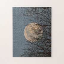 Moon Rising above the Trees
