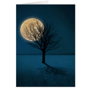 Moon Shadow