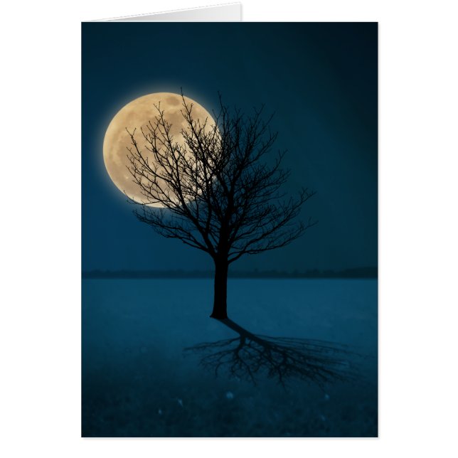 Moon Shadow (Front)