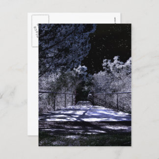 Moon Shadows Postcard