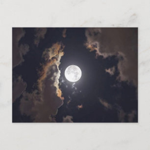Moon Shine Postcard