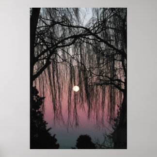 Moon Through Trees Photograph Poster