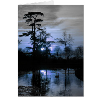 Moon Tree