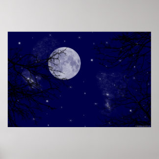 Moon View Poster