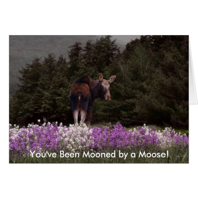 Mooned by a Moose Card (Front Horizontal)