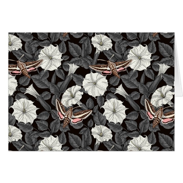 Moonflowers and sphinx moths 2 (Front Horizontal)