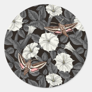 Moonflowers and sphinx moths 2 classic round sticker