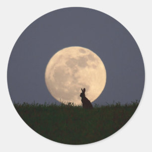 Moongazer.JPG Classic Round Sticker