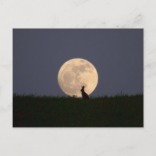 Moongazer Postcard