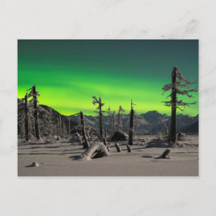 Moonlight Aurora Postcard