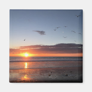 Moonlight Beach Sunset Magnet