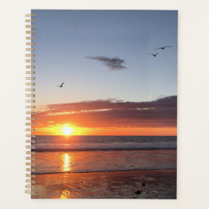 Moonlight Beach Sunset Planner