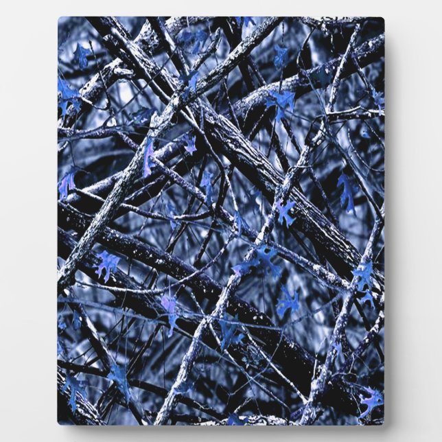 Moonlight Camo Plaque (Front)