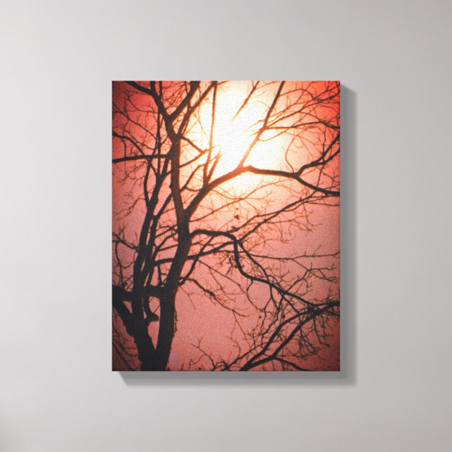 Moonlight Canvas Print (Front)