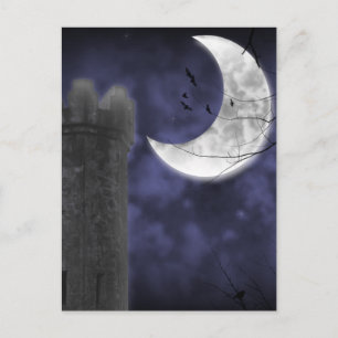 Moonlight Castle Gothic Fantasy Postcard