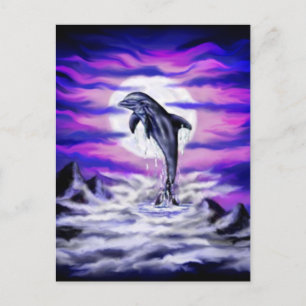 Moonlight Dolphin Postcard