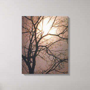 Moonlight Dream Canvas Print