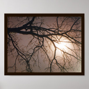 Moonlight Dream Poster