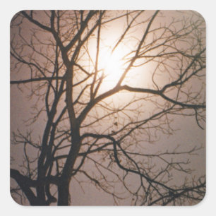 Moonlight Dream Square Sticker