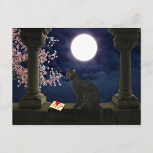 Moonlight Kitty Postcard