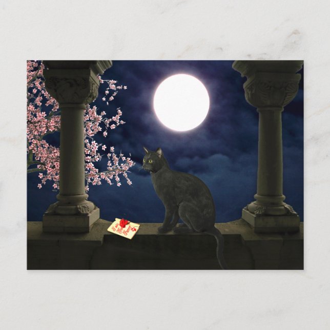 Moonlight Kitty Postcard (Front)