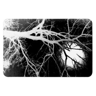 Moonlight Magnet