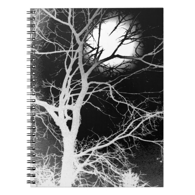 Moonlight Notebook (Front)